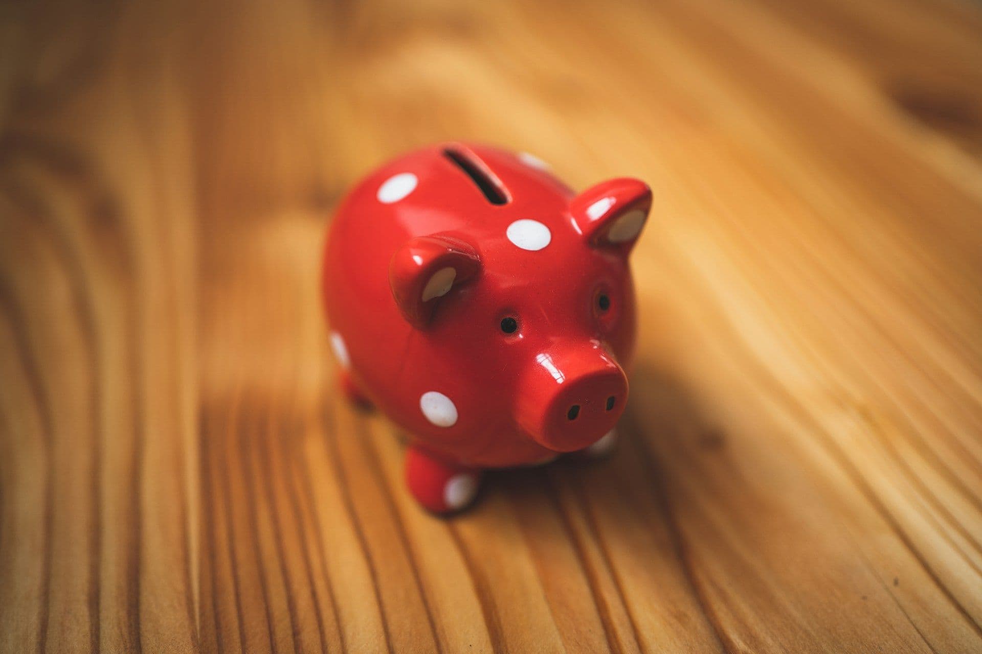 Red piggy bank