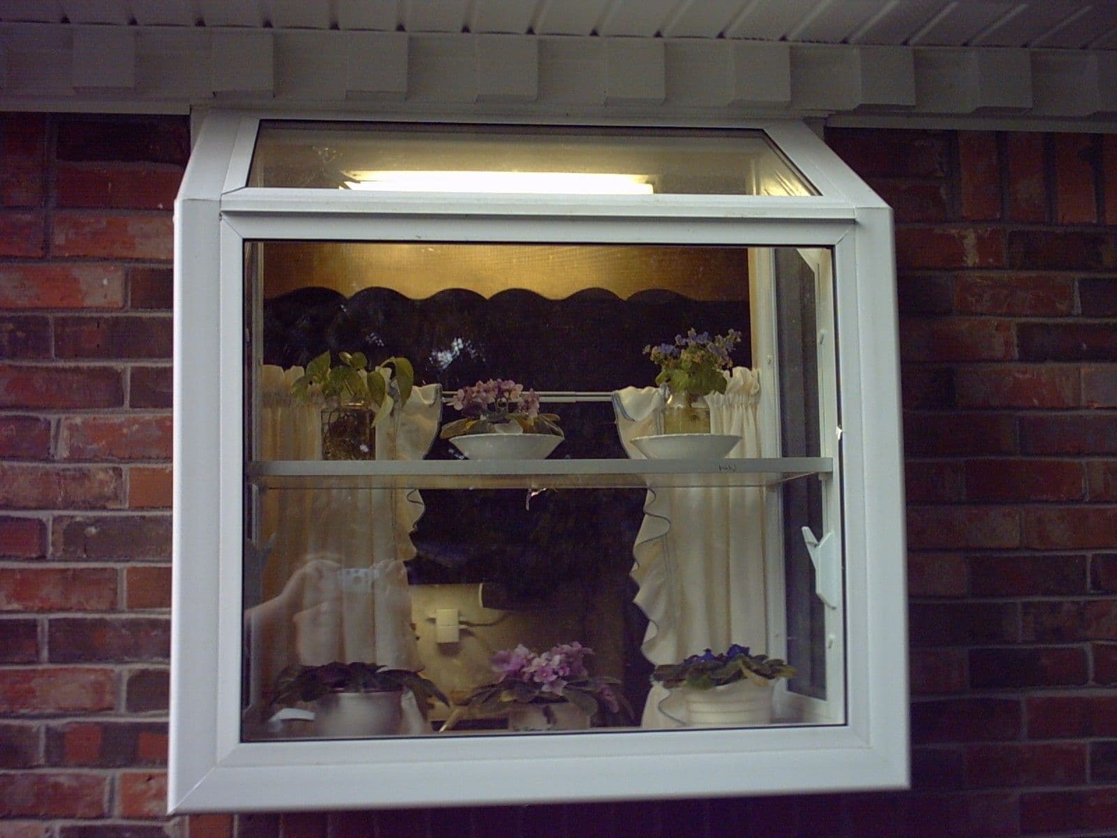 Window