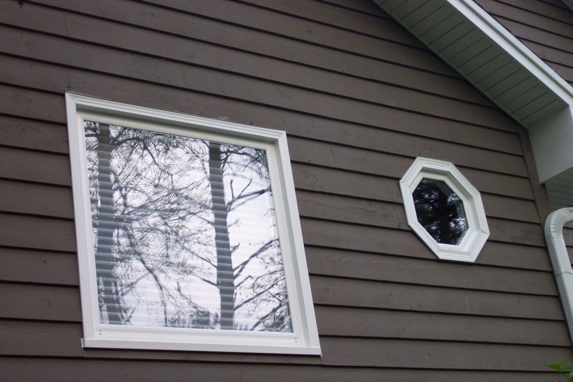 Specialty Windows